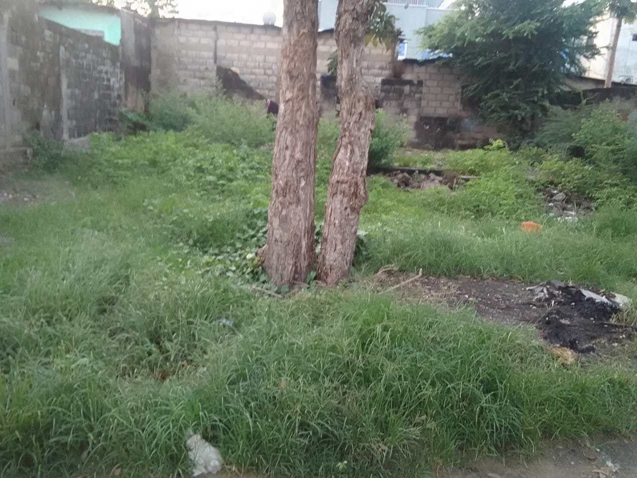 Image du bien à Brazzaville